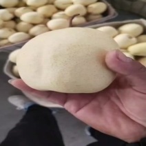 金都酥梨，梨中的天花板！！！甜甜！！