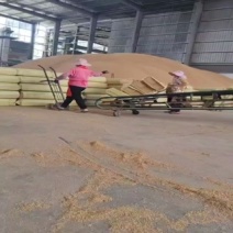 压缩稻壳鸡鸭鹅垫料量大从优质量保证欢迎咨询