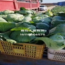 扁包菜