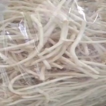 鱼腥草