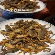 东北林蛙