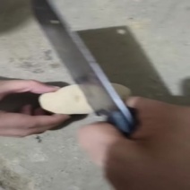 黄心土豆