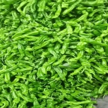【热卖】江苏芜湖椒鲜辣椒一手货源品质保障可视频看货