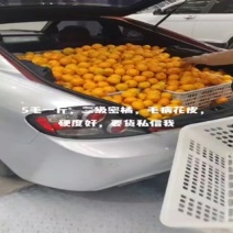 二级密橘，地址沈阳浑南东北冷鲜港，0.5一斤