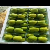 大青枣，