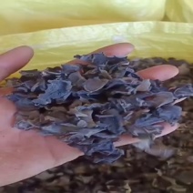 云耳黑木耳产地一手货源量大从优