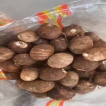 毛芋头，山东芋头，产地直供，口感糯，全国发货，