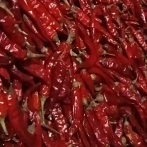 干辣椒二荆条，自家种的，纯一手货源，保证品质，量大从优。