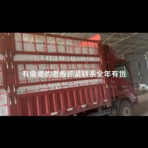 大量有货需要联系哈，也可以给老板们报价格合适的时候再发货