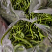 去把三号线椒工厂货大量有货