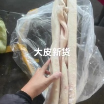 猪大皮