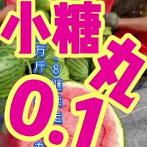 《早春红玉西瓜》口口脆西瓜全美2k西产地直供保熟保甜