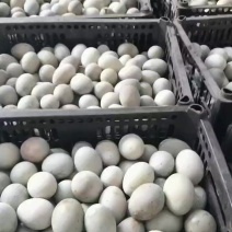 裂纹包泥蛋，常年有货，量大价优，全国发货，欢迎合作