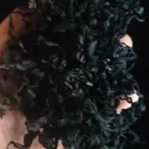 大连干燥裙带菜厂家直供物美价廉