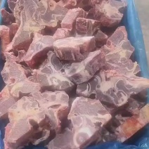 牛脊骨