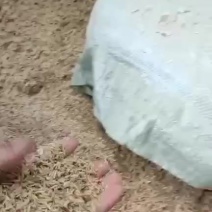 广西地区厂家直销压缩稻壳