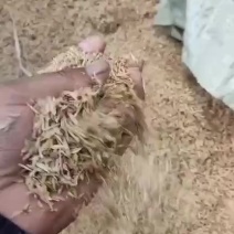 四川遂宁压缩稻壳大量现货