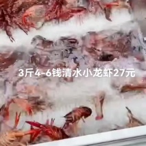 1500克清水小龙虾中号4-6钱1盒包邮。每盒27元
