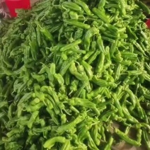 芜湖椒薄皮青椒产地直发电商对接3000斤起