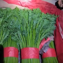 茼蒿