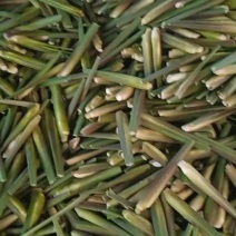茭白冬茭大量上市，基地直供