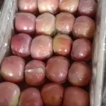 全国现代果业十强县红富士皮薄汁多味美