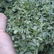 高中低端货相思叶都有