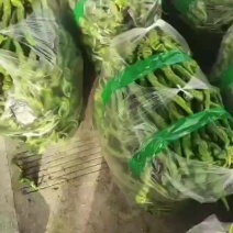 西昌螺丝椒大量上市，