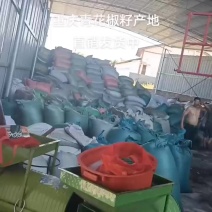一分钱一分货，质量**没问题