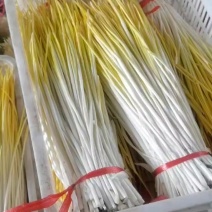 精品蒜黄大量上市，棚头现割，好货多多