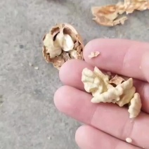 纸皮核桃一件DF，物美价廉