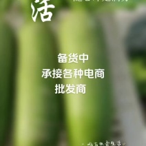 天津市武清区水果萝卜