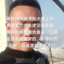 出售大量青萝卜