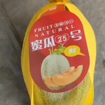 甘肃民勤哈密瓜晓密25对接电商市场一件代发外贸出口等