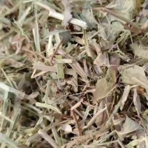花生秧草料有要的联系，***********