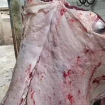 牛肉批发