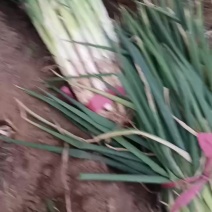 大量现货价格便