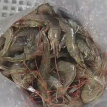 小海虾