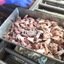 红娘鱼头