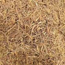 龙胆草选货正品龙胆草选货精品各种规格