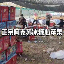 新疆阿克苏冰糖心苹果，每一颗都有糖心，这里有一级果二级果