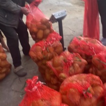 云南德宏精品佛手瓜种，*后七八十吨，好价，需要的老板贸易起来