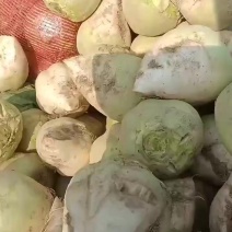 芥菜头，瘩大，大量上市中有需要老板联系我哦