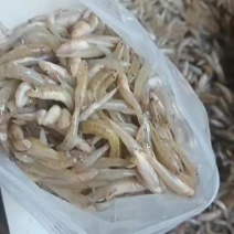 新鲜打包，小黄鱼，便宜漂亮