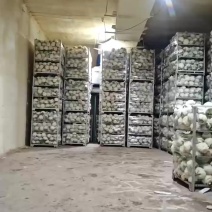 大量现货价格美丽