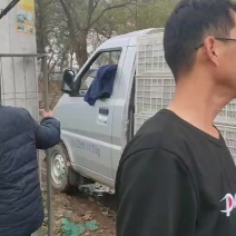 天津西青沙窝萝卜批发零售一件代发