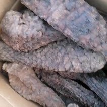 新疆肉苁蓉新货已上市