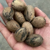 【新鲜碧根果】**特惠，原产地直供***********