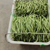 绿条无筋豆