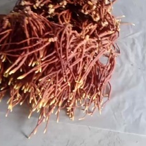 鹿角灵艺干品自家培育大量上市